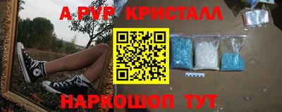 spice Гудермес