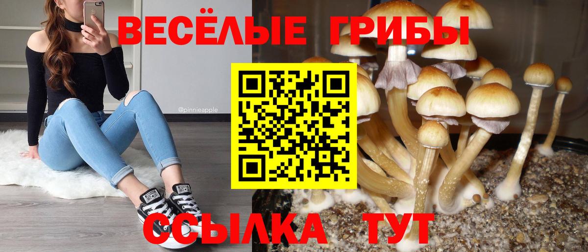 Галлюциногенные грибы мухоморы  Псилоцибиновые грибы GOLDEN TEACHER  Вход с VPN  Белово 